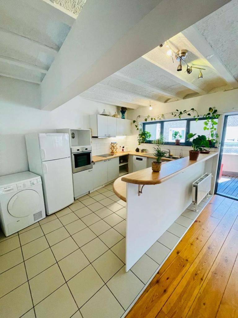 Down Town Oasis-spacious Loft With Private Parking * Brussel